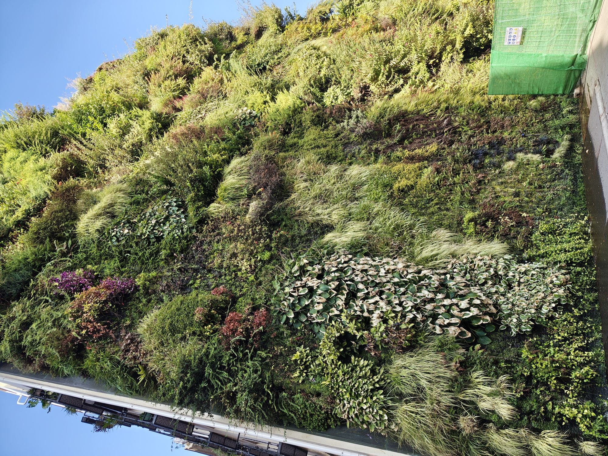 Barrio De Las Letras Community Of Madrid Spain