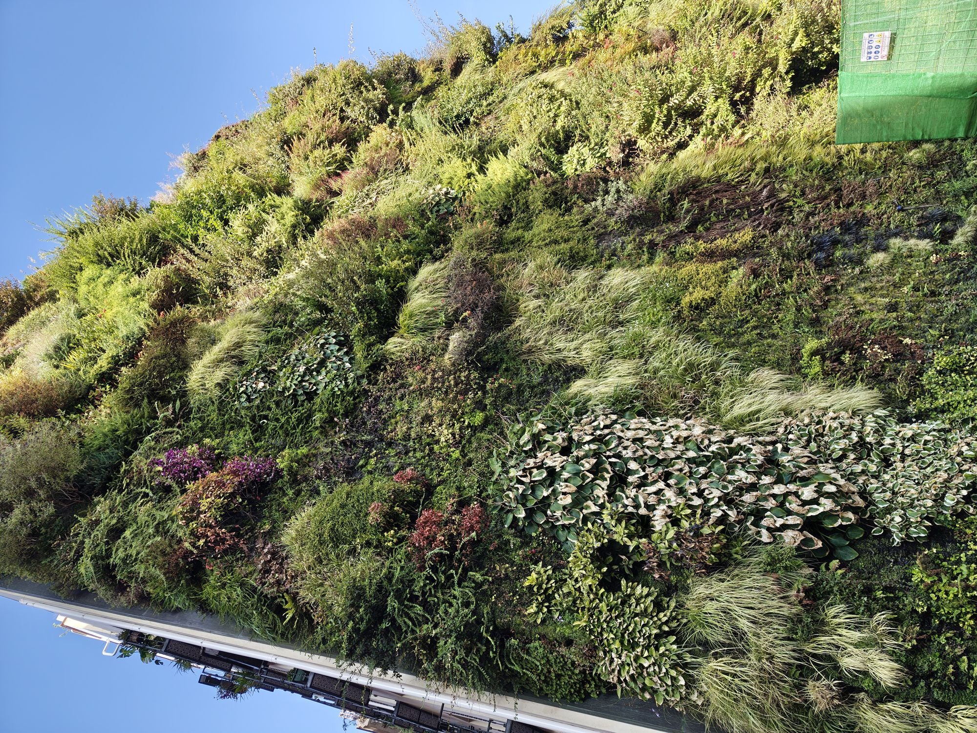 Barrio De Las Letras Community Of Madrid Spain 1